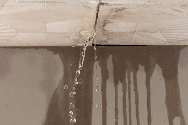 Professional Structural Drying technician working in Lake Mills, WI